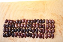 Закуска на 23 февраля Граната-Лимонка - шаг 13