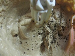 Запечённый паштет из утиной печени - шаг 3 Запечённый паштет из утиной печени - шаг 3