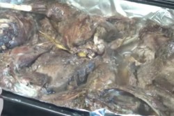 Заяц в духовке сочный - шаг 6 Заяц в духовке сочный - шаг 6