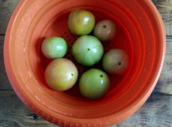 Зеленые помидоры по армянски на зиму - шаг 1