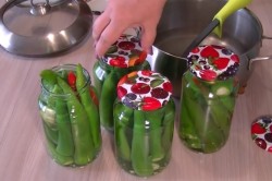 Зеленый горький перец в маринаде на зиму - шаг 5 Зеленый горький перец в маринаде на зиму - шаг 5