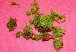 Фаршированные помидоры на зиму - шаг 3 Фаршированные помидоры на зиму - шаг 3