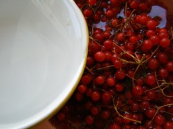 Калина с медом заготовка на зиму - шаг 2 Калина с медом заготовка на зиму - шаг 2