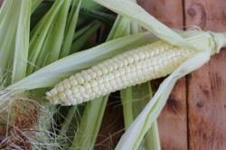 Кукуруза на гриле - шаг 3