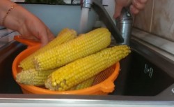 Кукуруза сахарная Бондюэль на зиму - шаг 3 Кукуруза сахарная Бондюэль на зиму - шаг 3