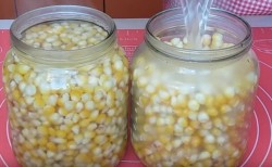 Кукуруза сахарная Бондюэль на зиму - шаг 7 Кукуруза сахарная Бондюэль на зиму - шаг 7