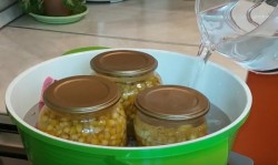 Кукуруза сахарная Бондюэль на зиму - шаг 8 Кукуруза сахарная Бондюэль на зиму - шаг 8