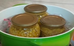 Кукуруза сахарная Бондюэль на зиму - шаг 9 Кукуруза сахарная Бондюэль на зиму - шаг 9