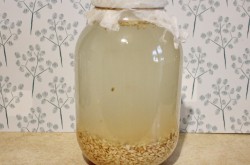 Квас из овса в домашних условиях Овсяный - шаг 6 Квас из овса в домашних условиях Овсяный - шаг 6