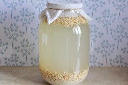 Квас из овса в домашних условиях Овсяный - шаг 7 Квас из овса в домашних условиях Овсяный - шаг 7