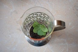 Облепиховый чай - шаг 2 Облепиховый чай - шаг 2