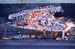 Шашлык из сома - шаг 5