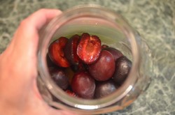 Самогон из слив в домашних условиях - шаг 2 Самогон из слив в домашних условиях - шаг 2