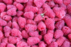 Варенье из малины на зиму пятиминутка - шаг 1