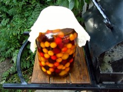 Вино из алычи простое домашнее - шаг 4 Вино из алычи простое домашнее - шаг 4