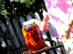 Вино из алычи простое домашнее - шаг 5 Вино из алычи простое домашнее - шаг 5