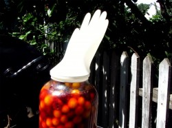 Вино из алычи простое домашнее - шаг 6 Вино из алычи простое домашнее - шаг 6