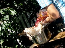 Вино из алычи простое домашнее - шаг 7 Вино из алычи простое домашнее - шаг 7