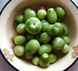 Консервирование зеленых помидоров на зиму - шаг 1 Консервирование зеленых помидоров на зиму - шаг 1