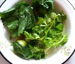 Консервирование зеленых помидоров на зиму - шаг 4 Консервирование зеленых помидоров на зиму - шаг 4