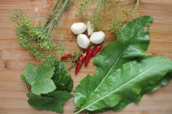 Соленые зеленые помидоры на зиму в банках - шаг 3