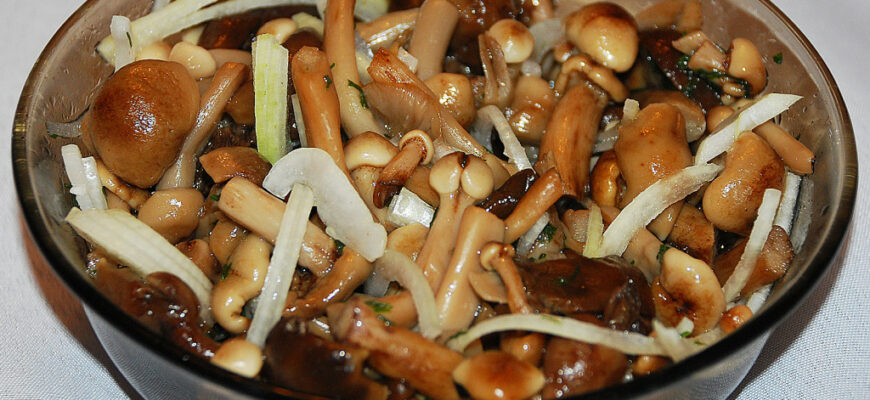 Что можно приготовить из опят на зиму?