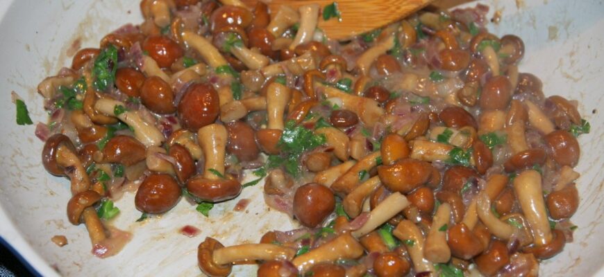 Что приготовить из отварных опят?