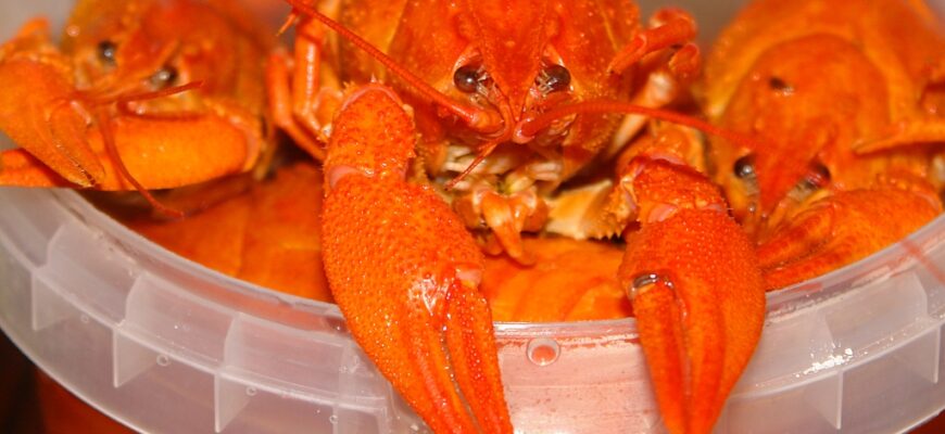 Как есть раков?