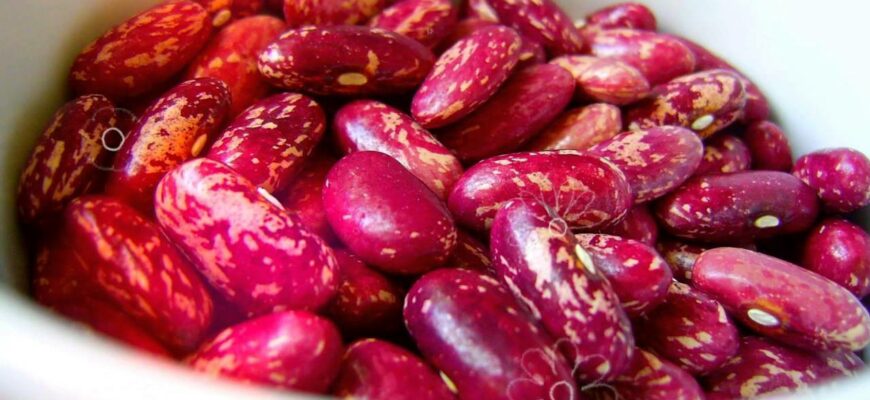 Что делать, если фасоль не доварилась?