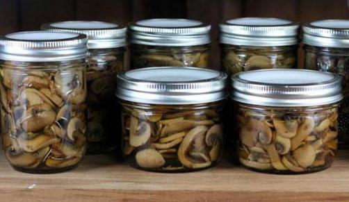 Что делать если, опята вздулись