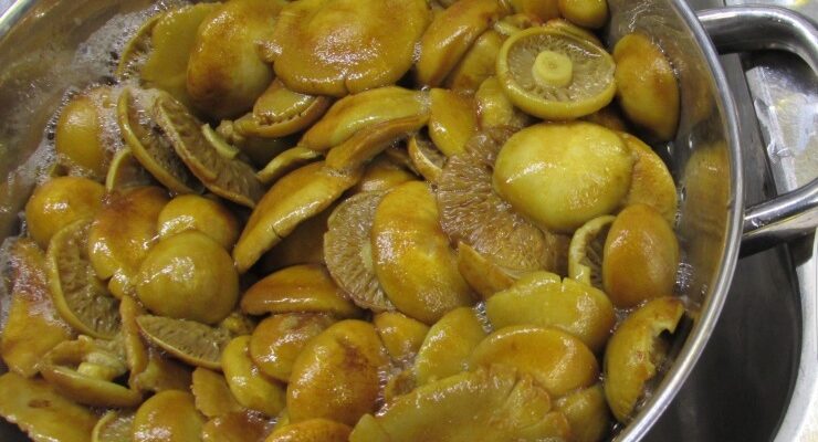 Если при варке опята пожелтели