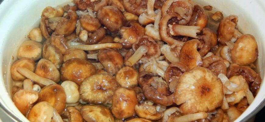 Как проверить опята при варке