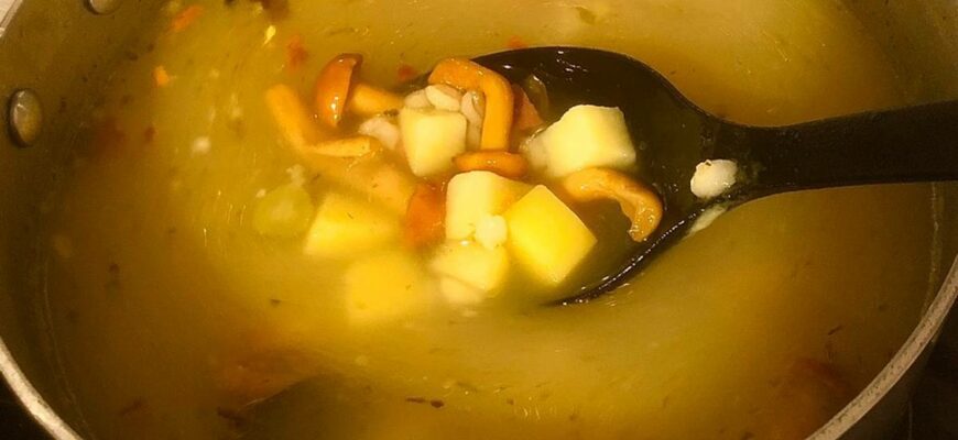 Можно ли варить супы из маслят?