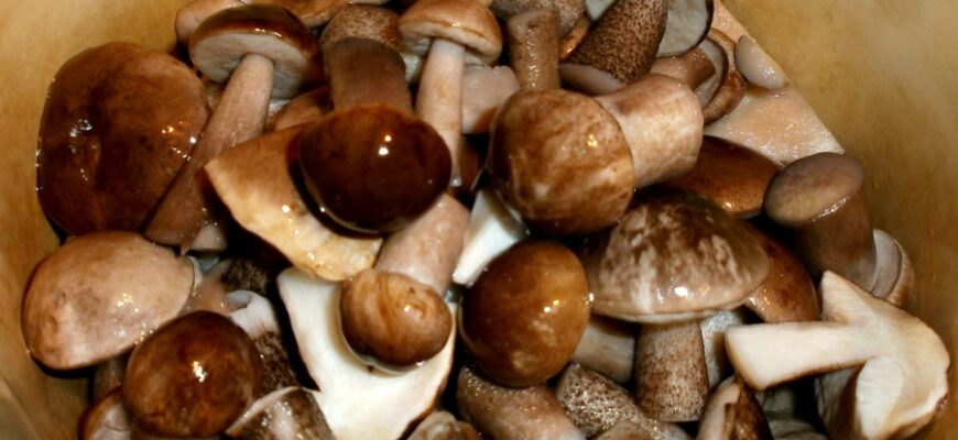 Что приготовить из подберезовиков?