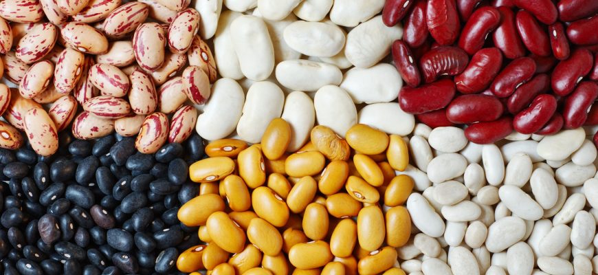 Почему хочется фасоли?