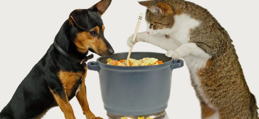 Как варить кашу собаке