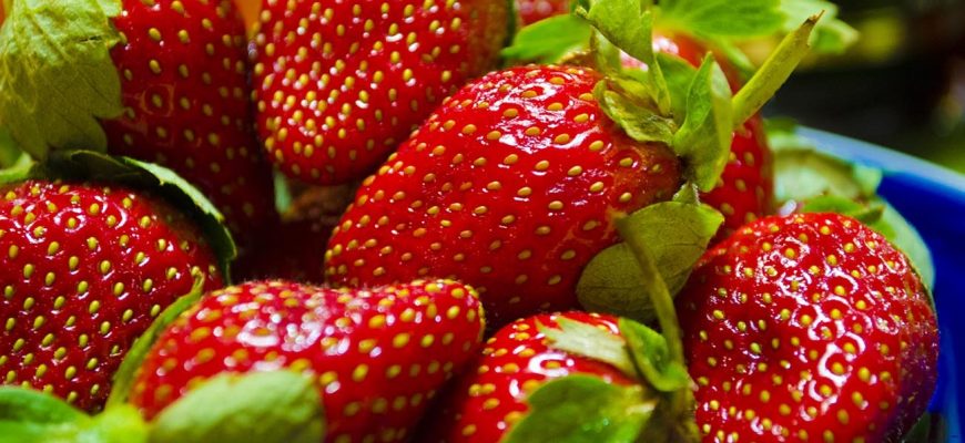 Почему клубника горчит?