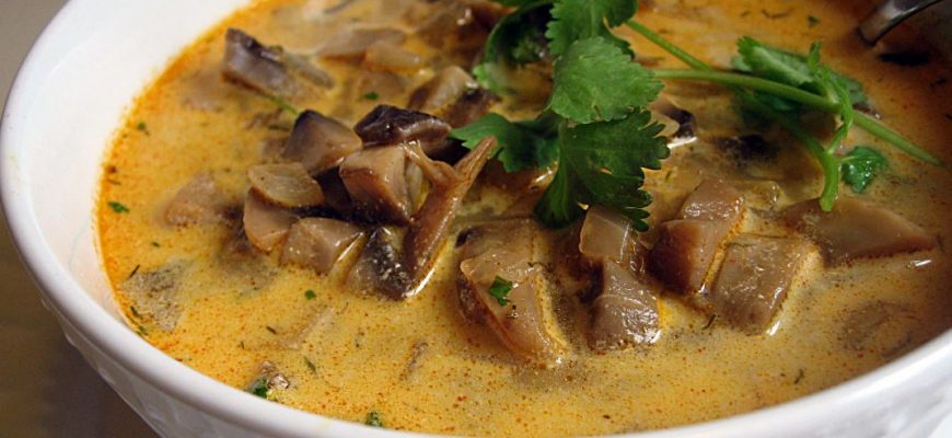 Можно ли варить суп из волнушек?