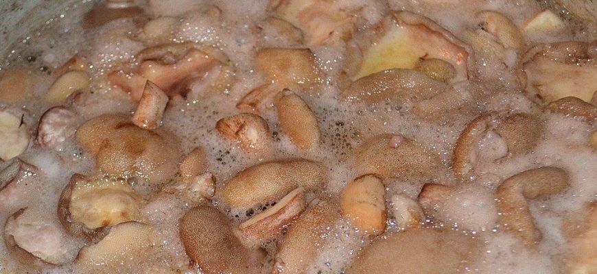 Почему маслята темнеют при варке?