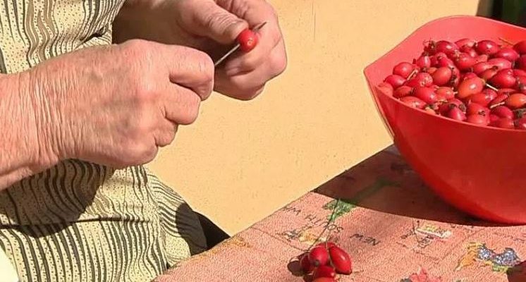 Подготовка боярышника для джема