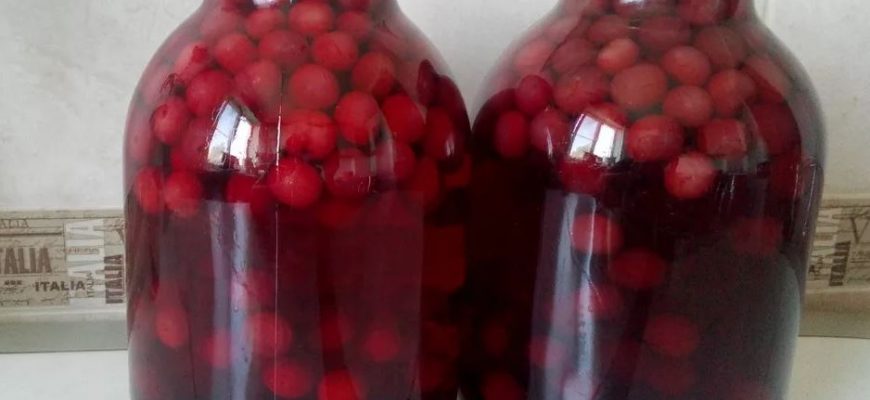 Можно ли варить компоты с косточками?